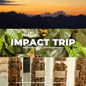 Kintamani Sunrise & Coffee Experience​