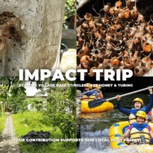 Stingless-Bee Honey, Organic Farm, & Tubing (With Transport)