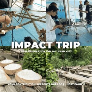 Karangasem Trip: Coral Restoration and Natural Salt Farm Visit​ (With Transport)