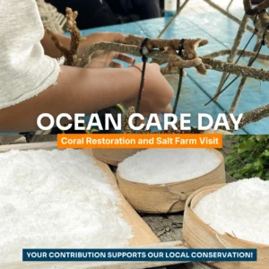 Ocean Care Day