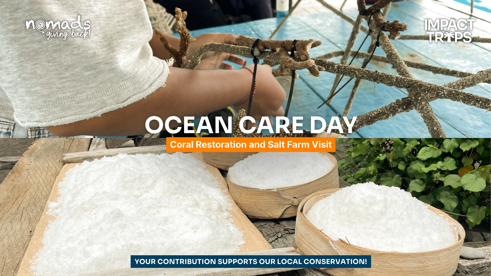 Ocean Care Day