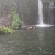 IMG_20250412_125617